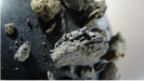 meteorit